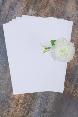 Mermer zemin üzerinde sahte gül olan boş kağıtlar 