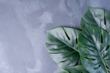 Mavi arka planda yapay yeşil yapraklar. Yüksek kalite fotoğraf