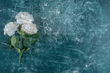 Mavi arka planda güzel kokulu beyaz çiçek. Yüksek kalite fotoğraf