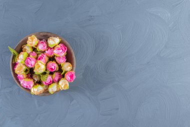 Beyaz arka planda, bir kasede renkli çiçekler. Yüksek kalite fotoğraf