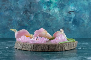 Mavi arka planda, bir tahtada zambak. Yüksek kalite fotoğraf