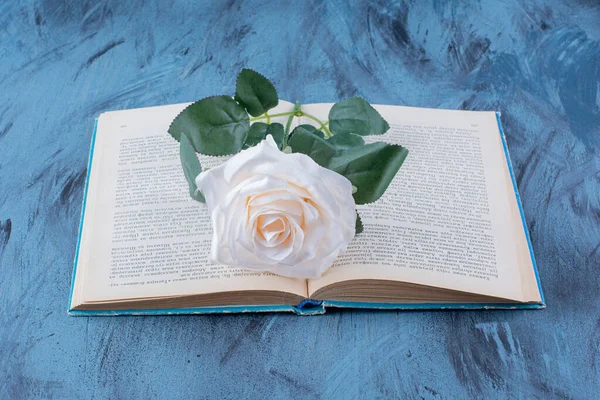 Mavi arka plan üzerine açık bir kitabın üzerine yerleştirilmiş tek bir beyaz gül. Yüksek kalite fotoğraf