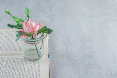 Beyaz arka planda, kitaptaki bir kavanozdaki zarif çiçekler. Yüksek kalite fotoğraf