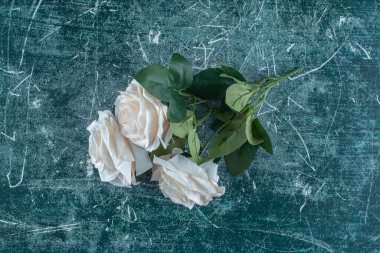 Mavi arka planda güzel kokulu beyaz çiçek. Yüksek kalite fotoğraf