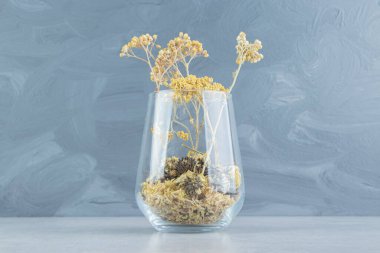 Cam bardaktan kurumuş sarı çiçekler. Yüksek kalite fotoğraf