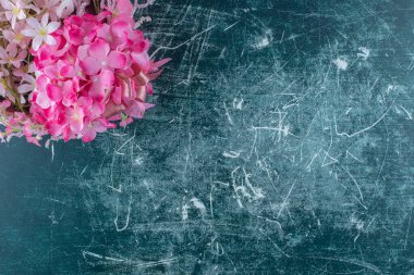 Mavi arka planda, bir kasede zarif bir çiçek. Yüksek kalite fotoğraf