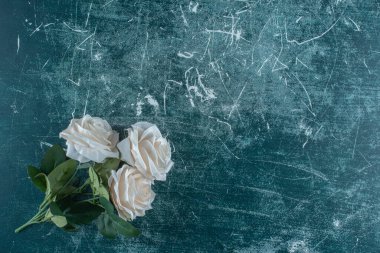 Mavi arka planda güzel kokulu beyaz çiçek. Yüksek kalite fotoğraf