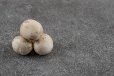 Gri arka planda yeni şampiyonların yakın plan fotoğrafı. Yüksek kalite fotoğraf