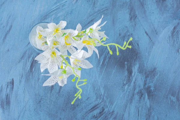 Bouquet of beautiful lily tiger placed on blue background. High quality photo