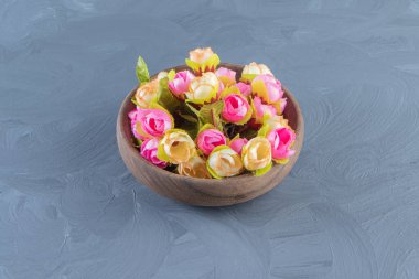 Beyaz arka planda, bir kasede renkli çiçekler. Yüksek kalite fotoğraf