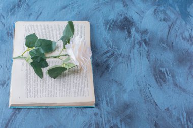 Mavi arka plan üzerine açık bir kitabın üzerine yerleştirilmiş tek bir beyaz gül. Yüksek kalite fotoğraf