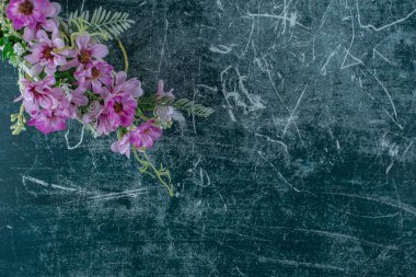 Mavi arka planda, peçete tutacağında çiçekler. Yüksek kalite fotoğraf