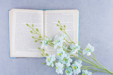 Yapay madonna zambak çiçeği açık kitaba yerleştirilmiş. Yüksek kalite fotoğraf