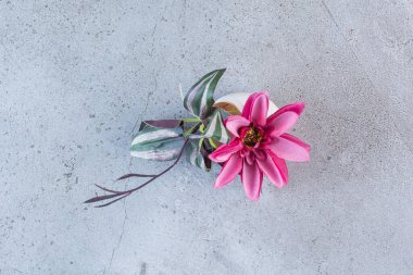 Gri arka planda yeşil yaprakları olan mor bir çiçek. Yüksek kalite fotoğraf