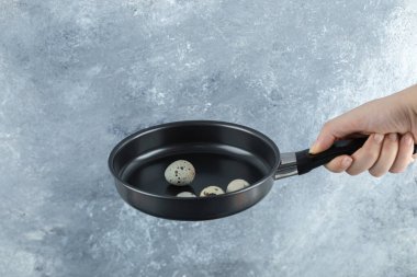 Erkek el, tavada organik bıldırcın yumurtası tutuyor.