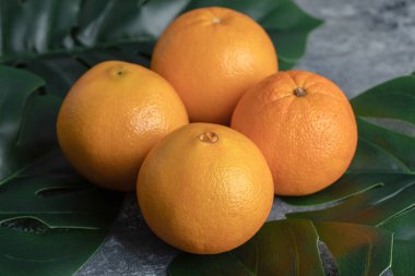 Mermer zemin üzerinde portakallar ve yapraklar