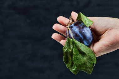 Siyah arka planda taze bir eriği tutan el.