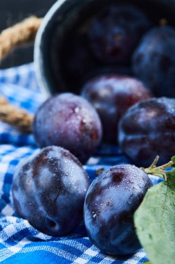 Masa örtüsü üzerinde küçük bir kova taze erik.