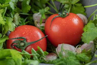 Gri masa örtüsünde iki taze domates.