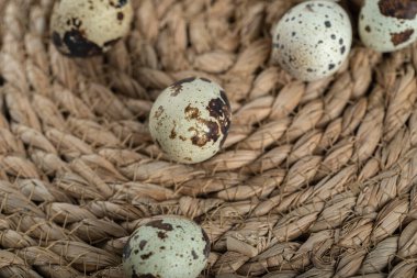 Taze organik bıldırcın yumurtasının en üst görüntüsü