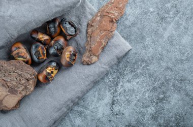 Ağaç kabuğunda kızarmış kestane