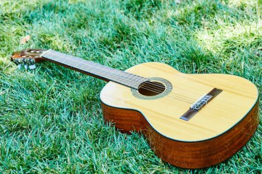 Yeşil çimlerin üzerinde akustik bir gitar. Kapat.
