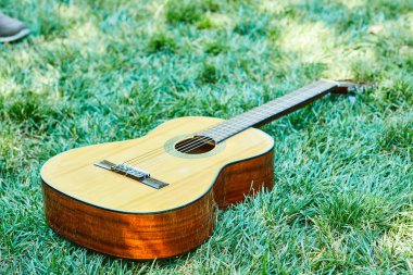 Çimlere takılmış bir gitar.