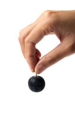 Kökünden alınmış bir kiraz eriği.