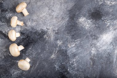 Mermer yüzeyine yerleştirilmiş lezzetli beyaz çiğ mantarlar. Yüksek kalite fotoğraf