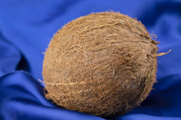 Verse Rijpe Hele Kokosnoot Geplaatst Een Blauw Tafelkleed Hoge Kwaliteit — Stockfoto