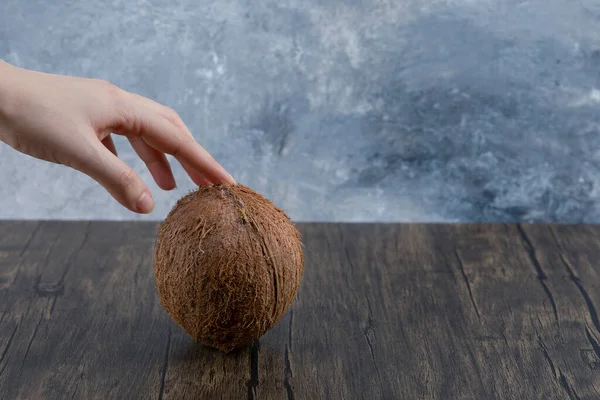 Kvinnlig Hand Håller Mogen Hel Kokos Sten Bakgrund Högkvalitativt Foto — Stockfoto