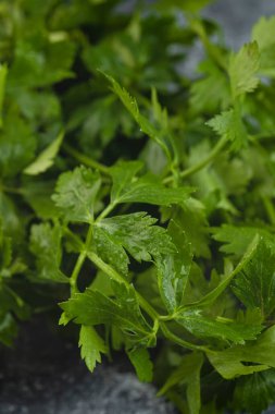 Mermer arka planda bir demet taze yeşil maydanoz. Yüksek kalite fotoğraf