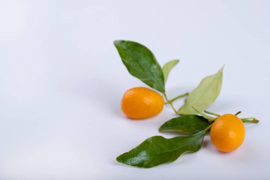 Beyaz arka planda yaprakları olan olgun, lezzetli kumkatlar. Yüksek kalite fotoğraf