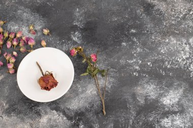 Kurumuş gül tomurcukları taştan bir arka plana yerleştirilmiş. Yüksek kalite fotoğraf