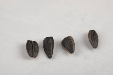 Beyaz arka planda dört kavrulmuş siyah ayçiçeği çekirdeği. Yüksek kalite fotoğraf