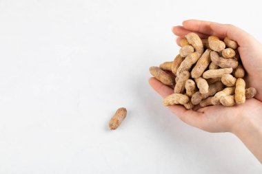 Beyaz arka planda bir sürü organik fıstık tutan kadın eli. Yüksek kalite fotoğraf