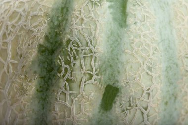 Tatlı kavun arka planının yakın görüntüsü. Yüksek kalite fotoğraf