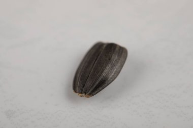 Single roasted black sunflower seed on white background. High quality photo