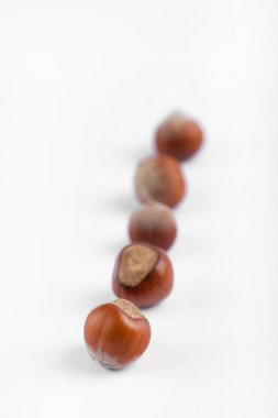 Beyaz arka plana yerleştirilmiş kabuklu sağlıklı fındıklar. Yüksek kalite fotoğraf