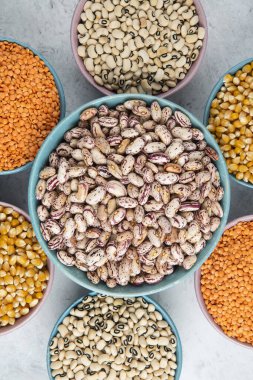 Çeşitli çiğ fasulye ve mercimek etrafında büyük bir kase kahverengi fasulye. Yüksek kalite fotoğraf