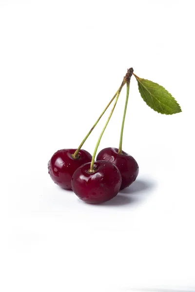 Cerezas Frescas Maduras Sobre Fondo Blanco — Foto de Stock