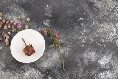 Kurumuş gül tomurcukları taştan bir arka plana yerleştirilmiş. Yüksek kalite fotoğraf