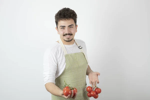 Porträtt Ung Man Med Färska Tomater Högkvalitativt Foto — Stockfoto