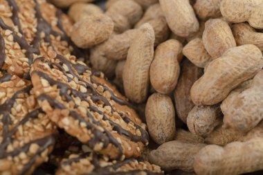 Yakından bakınca organik kabuklu fıstıklı lezzetli bisküviler. Yüksek kalite fotoğraf