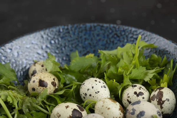 Plato Azul Huevos Frescos Codorniz Crudos Hojas Perejil Sobre Fondo — Foto de Stock