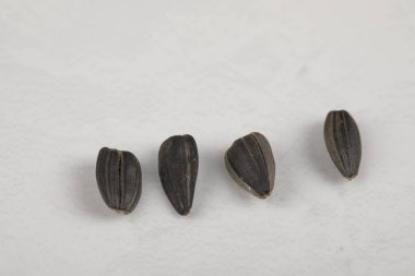 Beyaz arka planda dört kavrulmuş siyah ayçiçeği çekirdeği. Yüksek kalite fotoğraf