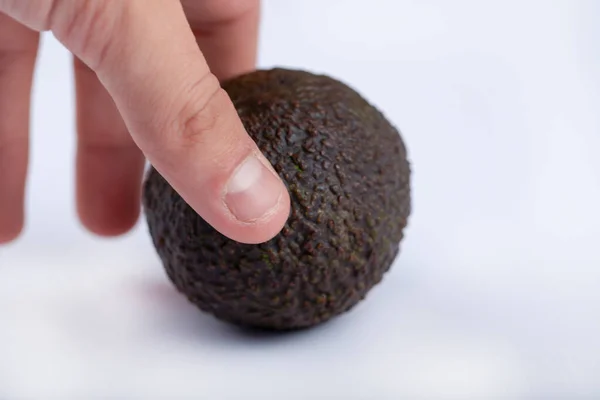 Männliche Hand Hält Eine Einzelne Reife Avocado Auf Weißem Hintergrund — Stockfoto