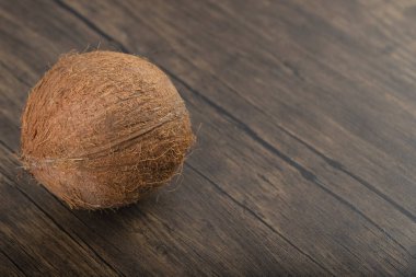 Tahta arka planda tek bir olgun, kıllı hindistan cevizi var. Yüksek kalite fotoğraf