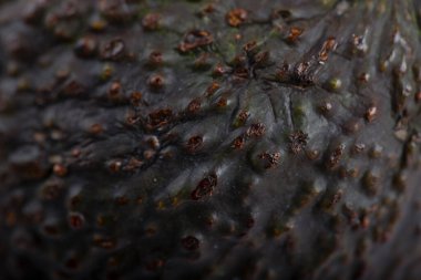 Olgun, sağlıklı avokado arka planına yakından bak. Yüksek kalite fotoğraf