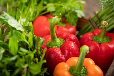 Tahta kutuda su damlaları olan sağlıklı taze sebzeler. Yüksek kalite fotoğraf
